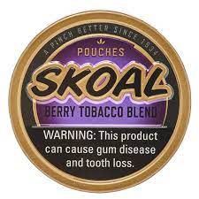 SKOAL POUCH * BERRY BLEND